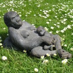 Gorilla - mother and baby