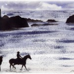 Commission - Horses at Polperro