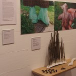 Installation 'Art, Economy and Ecology' at CCANW