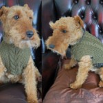 Knitted Dog Coat