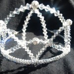 Miss Torbay Crown 2010