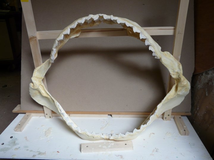 Replica Shark Jaw "so no one has to buy a real one!!