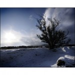 Snowy Dartmoor
