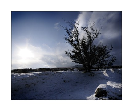 Snowy Dartmoor