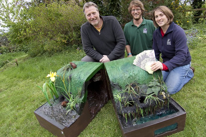 Water Vole 3D  model for Cheshire  wildlife Trust