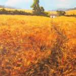 Wheat Fields by Marion Sawl