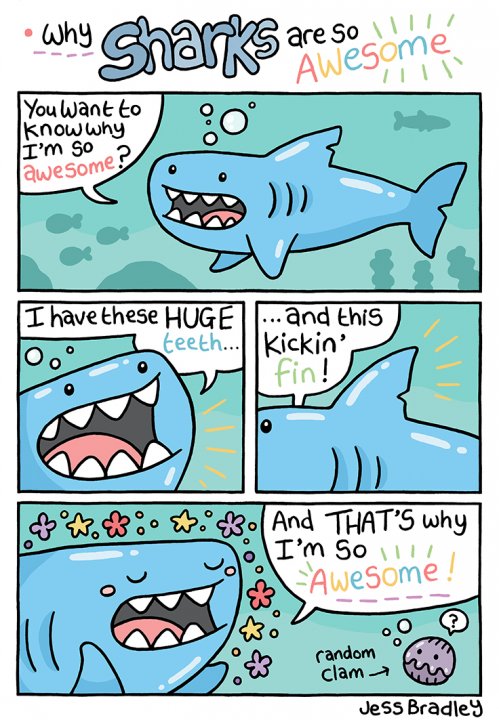 Why Sharks Are So Awesome