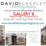 David Blakeley in Gallery 8 Teignmouth