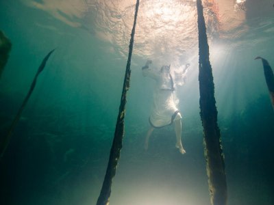 New Kelp makes a splash with Local Film making company Realm