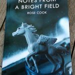 Rose Cook has a new book of poetry