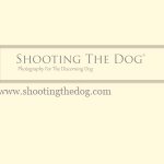 Shooting The Dog / Photography For The Discerning Dog