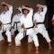 Torbay Karate Club